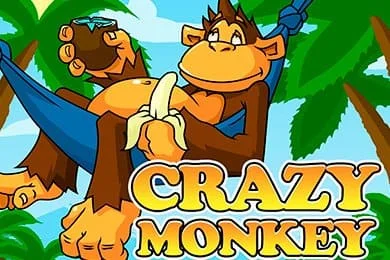 crazy monkey
