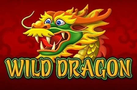 wild dragon